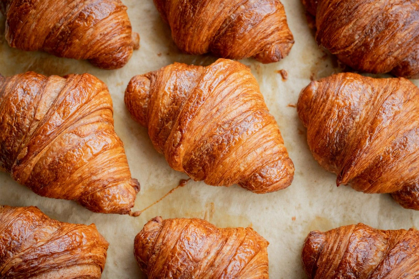 A tray of fresh-baked croissants, golden from the oven