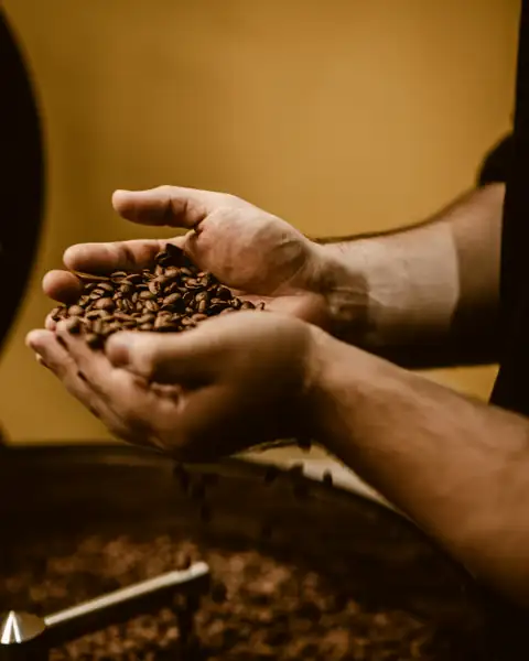 Two hands lifted out of the cooling tray, cupping the batch that just came off the drum, checking the colour by eye.